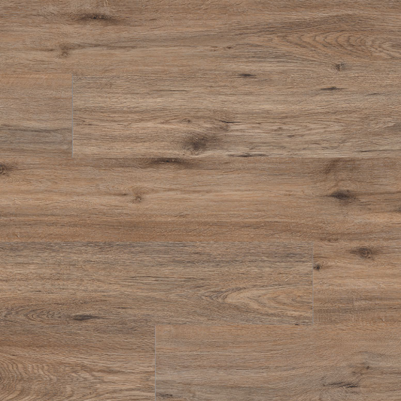 MSI-Cyrus-2.0-Fauna Luxury Vinyl Plank-800x800